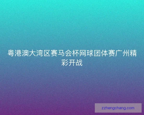 粤港澳大湾区赛马会杯网球团体赛广州精彩开战