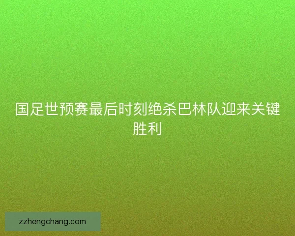 国足世预赛最后时刻绝杀巴林队迎来关键胜利