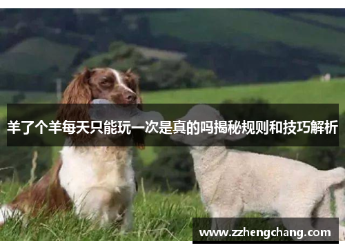 羊了个羊每天只能玩一次是真的吗揭秘规则和技巧解析