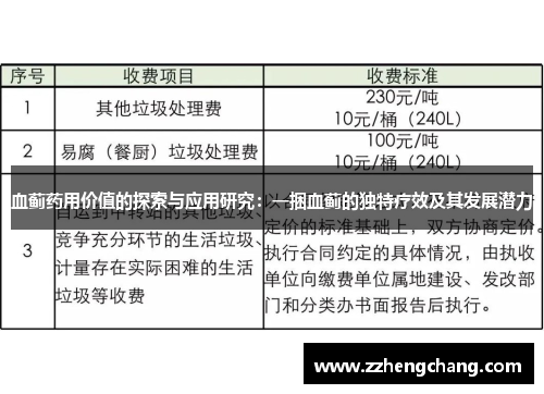 血蓟药用价值的探索与应用研究：一捆血蓟的独特疗效及其发展潜力