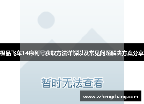 极品飞车14序列号获取方法详解以及常见问题解决方案分享
